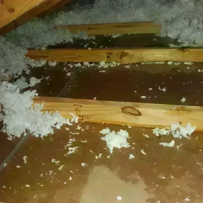 Attic Water Damage in Cinnaminson, NJ